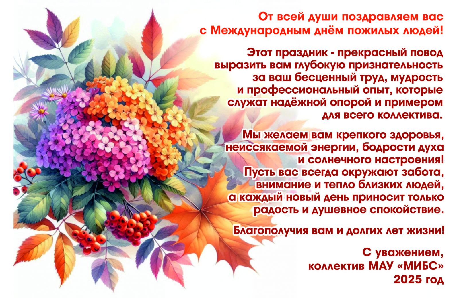история библиотек