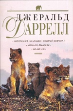 история библиотек