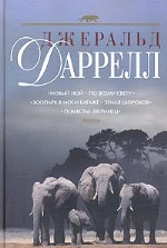 история города