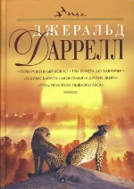администрация томской области