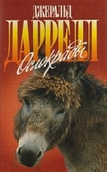 интернет справка